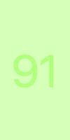 91.jpg