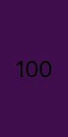 100.jpg